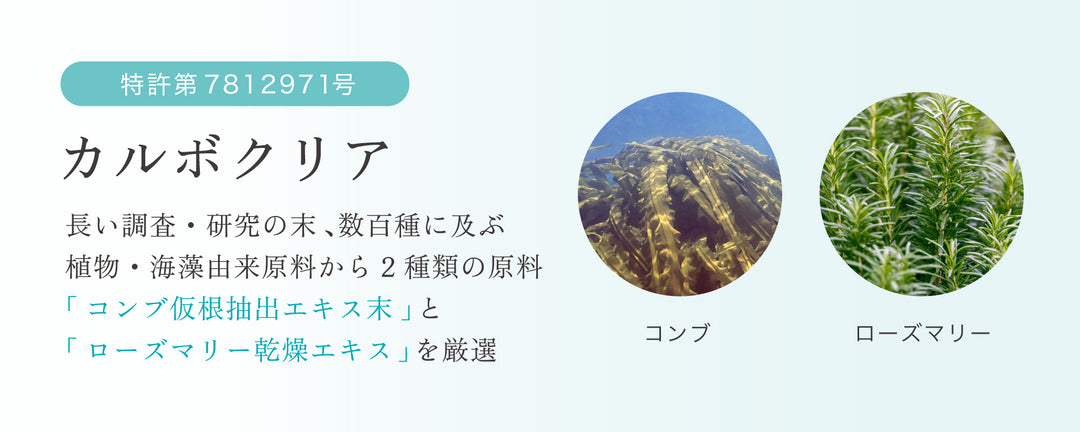 特許取得：カルボクリア（コンブ仮根抽出エキス末とローズマリー乾燥エキス）厳選に要｜リゾナス