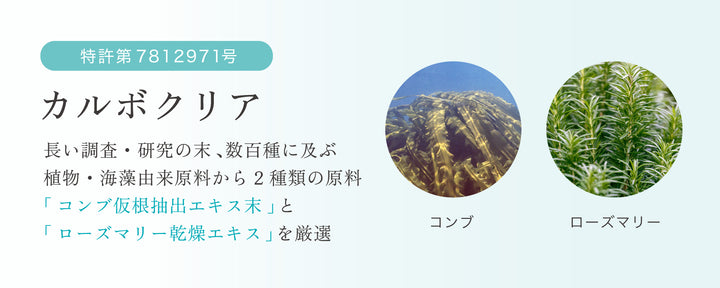 特許取得：カルボクリア（コンブ仮根抽出エキス末とローズマリー乾燥エキス）厳選に要｜リゾナス