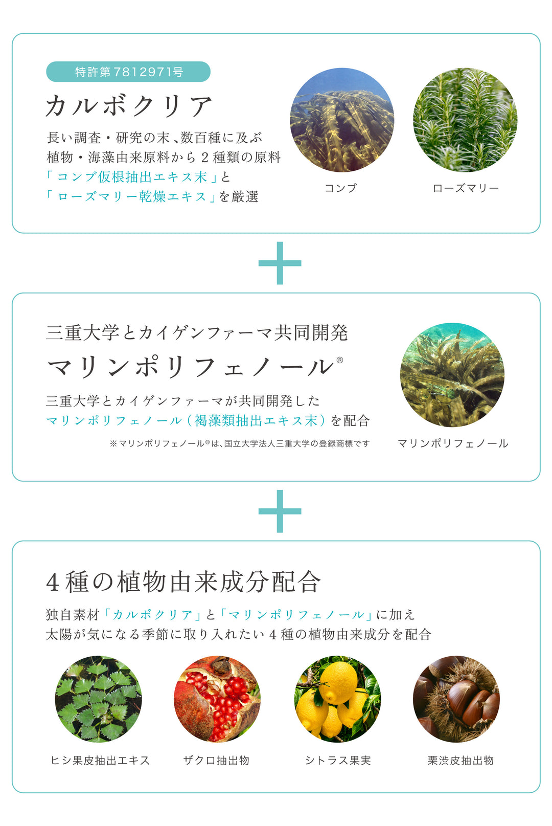 カルボクリアとマリンポリフェノールと4種の植物由来成分配合の図｜リゾナス