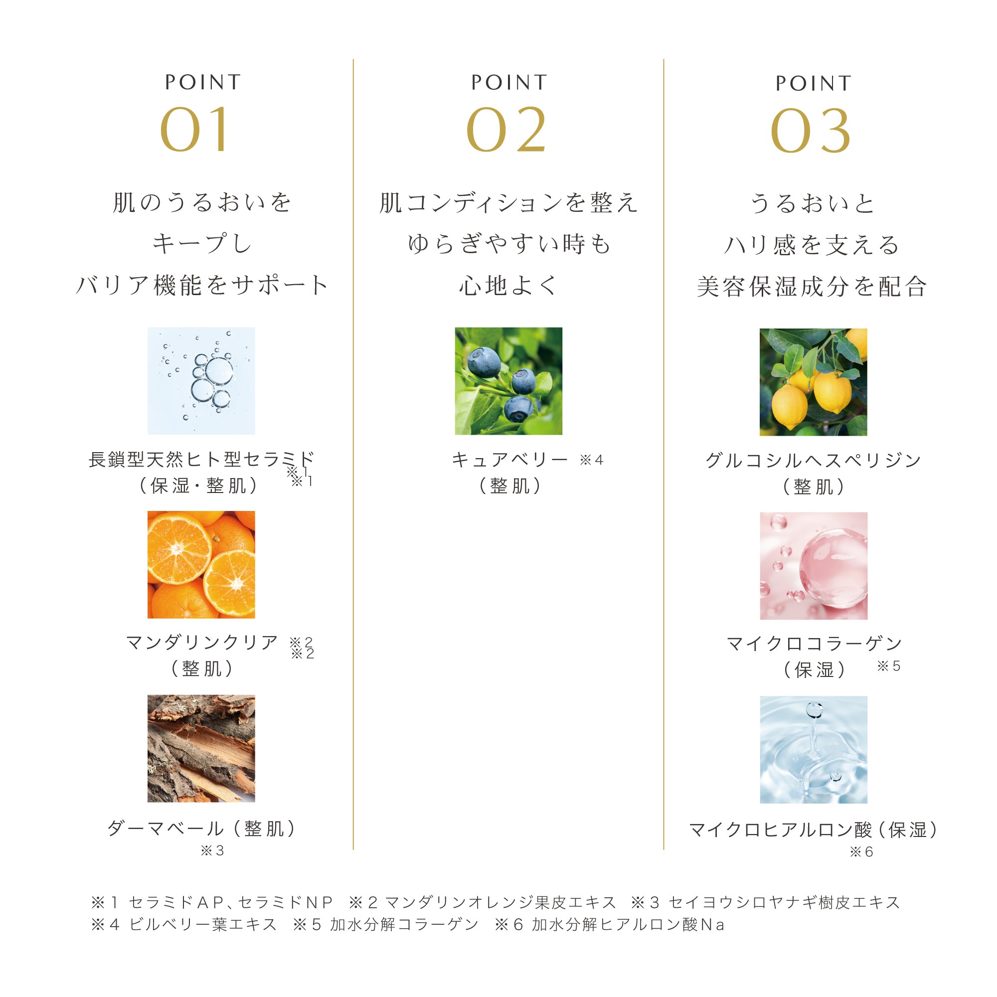 R SKIN ローション｜ヒト型セラミド配合 しっとり浸透 敏感肌・乾燥肌