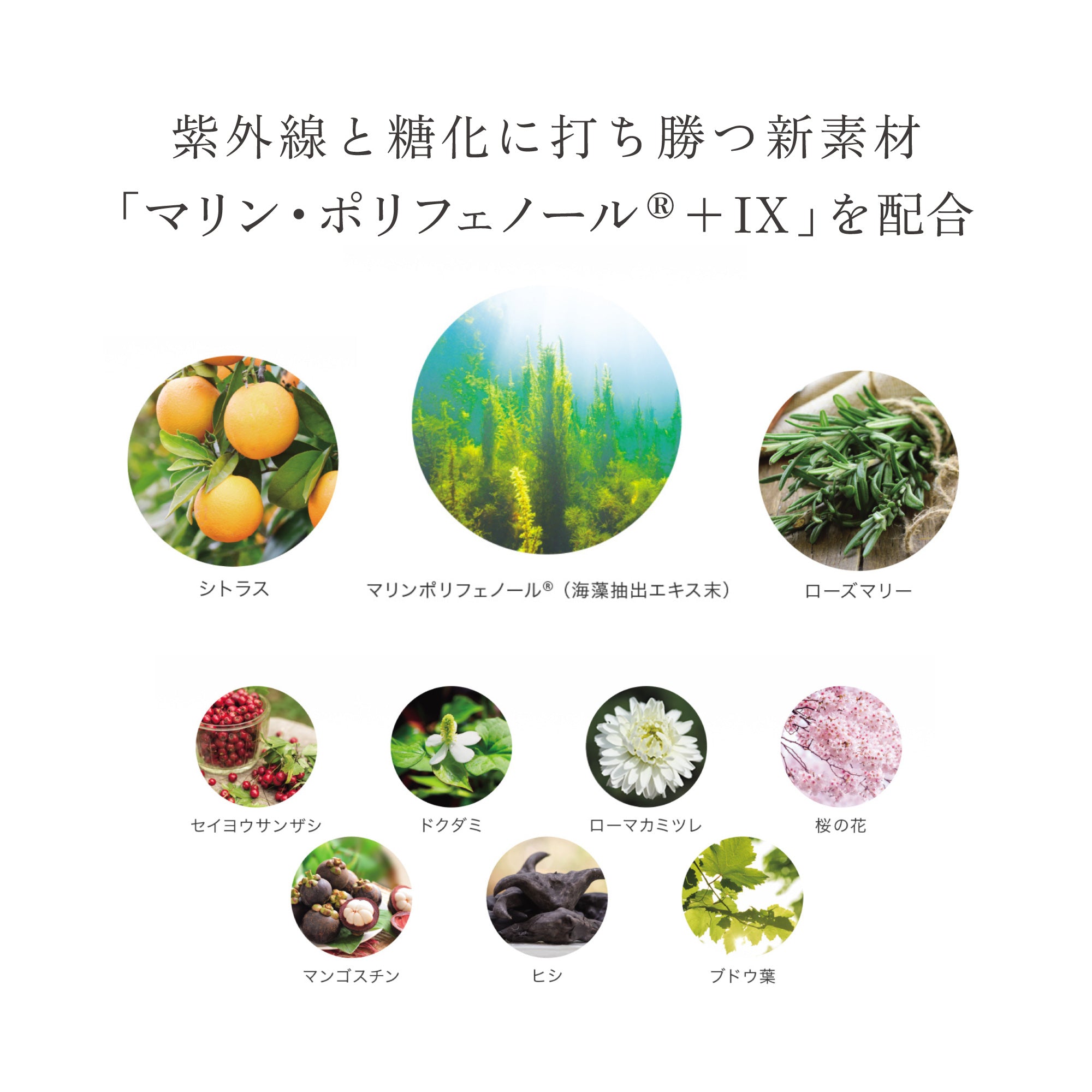 ソルプロプリュス ホワイト サプリメント – リゾナスオンライン